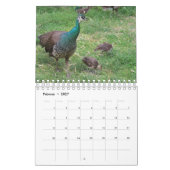 Der Pfau als Kalender カレンダー (2月 2027)