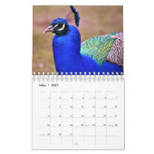 Der Pfau als Kalender カレンダー (3月 2027)
