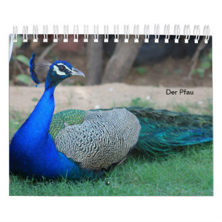 Der Pfau als Kalender カレンダー