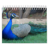 Der Pfau als Kalender カレンダー (カバー)