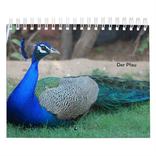 Der Pfau als Kalender カレンダー (カバー)