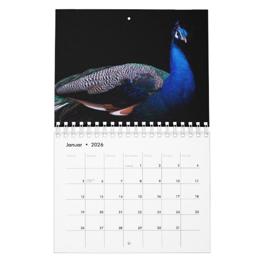 Der Pfau als Kalender カレンダー (1月 2026)
