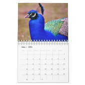 Der Pfau als Kalender カレンダー (3月 2026)