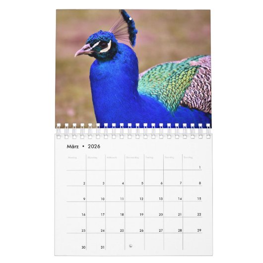Der Pfau als Kalender カレンダー (3月 2026)