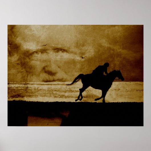 Der Schimmelreiter - Theodor Storm ポスター (正面)
