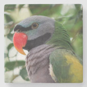 Derbyanのインコの石のコースター ストーンコースター (正面)