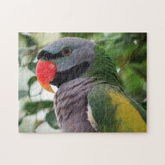 Derbyan Parakeet Jigsaw Puzzle ジグソーパズル (横)