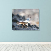 dermapteraのイヤウィッグ キャンバスプリント (インサイチュ (ウッドフロア))