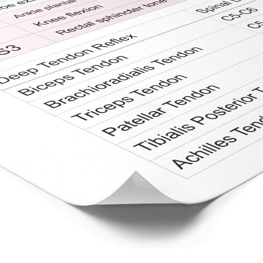 Dermatomes、Myotomes、DTRポスター ポスター (角)