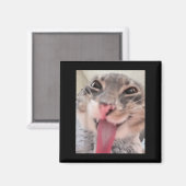 Derpy Cat Tongue OutミームおもしろいWeirdcore Gives Me マグネット (正面/裏面)