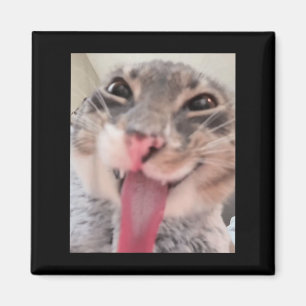 Derpy Cat Tongue OutミームおもしろいWeirdcore Gives Me マグネット