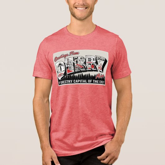 Derry Maineからの挨拶 トライブレンドＴシャツ (正面)