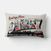 Derry Maineからの挨拶 ランバークッション (裏面)