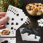 Des cartes à jouer de qualité  トランプ (インサイチュ)