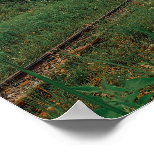 Desal Train Sri Lanka ポスター (角)