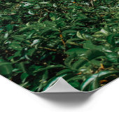 Desal Train Sri lanka ポスター (角)