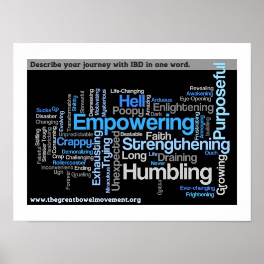 "Describe Your IBD" Word Cloud ポスター (正面)