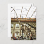 Description Museum f?r Naturkunde, Berlin: Skelett ポストカード (正面/裏面)
