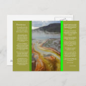 DESDERATAサーマルプールポストカード ポストカード (正面/裏面)