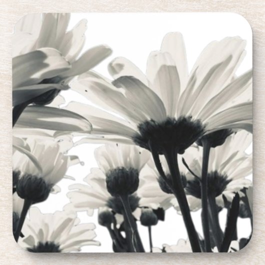 Desert Blooms Case-Mate iPhone Case コースター (正面)