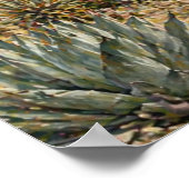 Desert Botanical Garden Cactus & Succulent  ポスター (角)