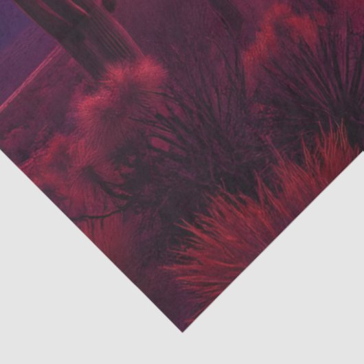 Desert Cactus Sunset Lightning Dramatic Southwest 薄葉紙 (詳細)