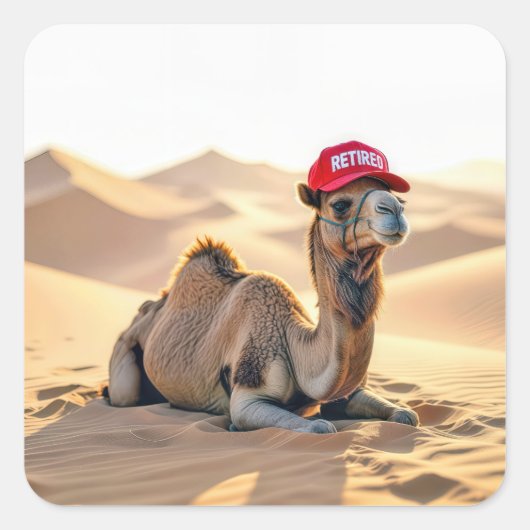 Desert Camel Wearing a Red Retired Cap スクエアシール (正面)