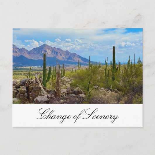 Desert Change of Address Cactus Moving 案内ポストカード (正面)
