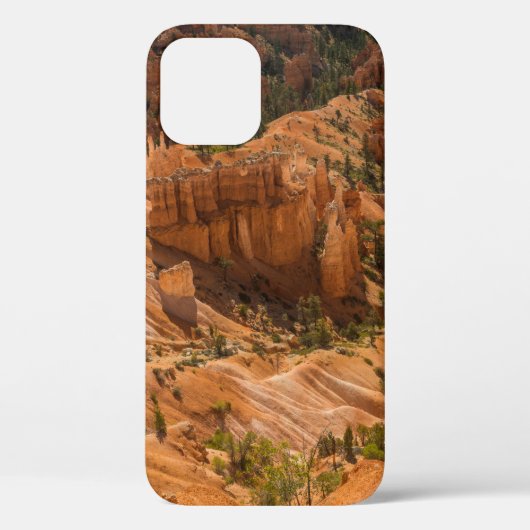 Desert landscape of Bryce Canyon National Park wit Case-Mate iPhoneケース (裏面)