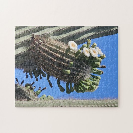 Desert Life Puzzle ジグソーパズル (横)