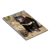 Desert Light – Tasmanian Devil ノートブック (右側)