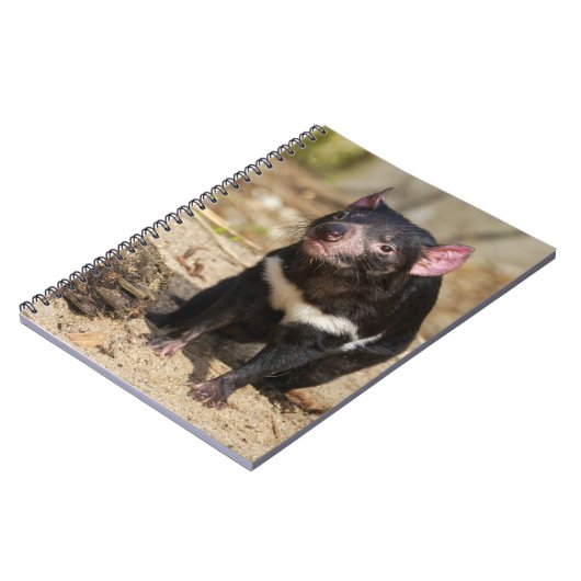 Desert Light – Tasmanian Devil ノートブック (左側)