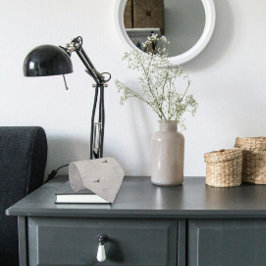 Desert Lizard on Gray Sidewalk Photo Tiled ネクタイ