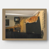 Desert Painter Studio Gallery in Palm春, CA フォトプラーク (正面)