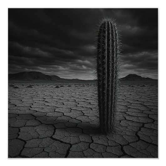 Desert - Photo Print フォトプリント (正面)
