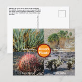Desert Plants Postcard ポストカード (正面/裏面)