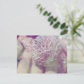 Desert Rose ポストカード (スタンド正面)