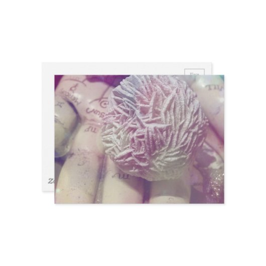 Desert Rose ポストカード (正面/裏面インサイチュ)