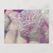 Desert Rose ポストカード (正面)