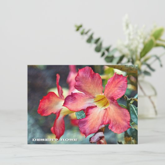 Desert Rose: Flat Card (スタンド正面)