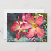 Desert Rose: Flat Card (正面)