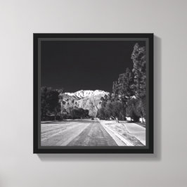 Desert Snow-Rancho Mirage, CA by Tom Masters キャンバスプリント