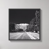 Desert Snow-Rancho Mirage, CA by Tom Masters キャンバスプリント (正面)