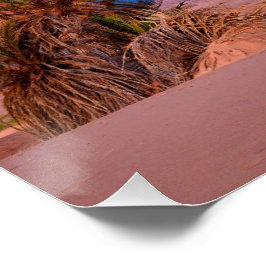 Desert Star Trails: Palm Trees & Pickup Truck Nigh ポスター