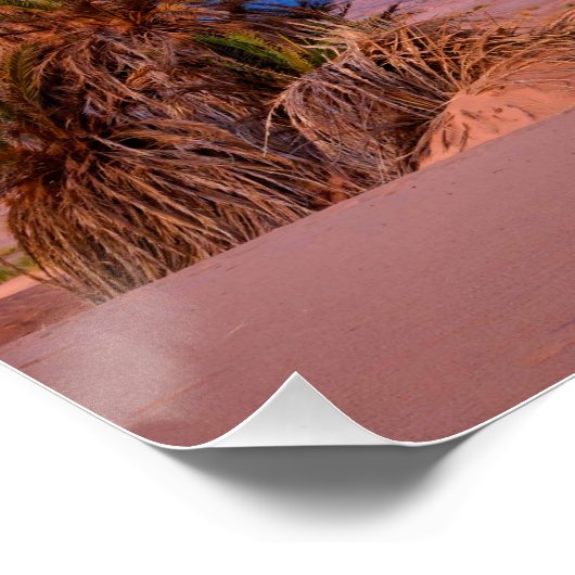 Desert Star Trails: Palm Trees & Pickup Truck Nigh ポスター (コーナー)