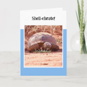 Desert Tortoise Folded Birthday Card カード (正面)