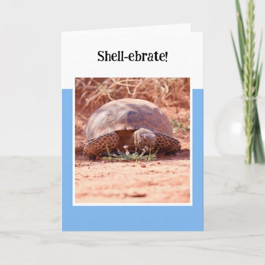 Desert Tortoise Folded Birthday Card カード (正面)