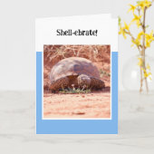 Desert Tortoise Folded Birthday Card カード (黄色い花)