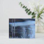 Desert Vision Quest, Saguaro at Night ポストカード (スタンド正面)