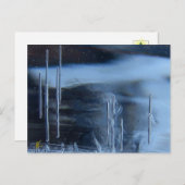 Desert Vision Quest, Saguaro at Night ポストカード (正面/裏面)